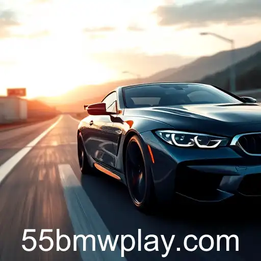 Gaming and Innovation: The Case of 55bmw